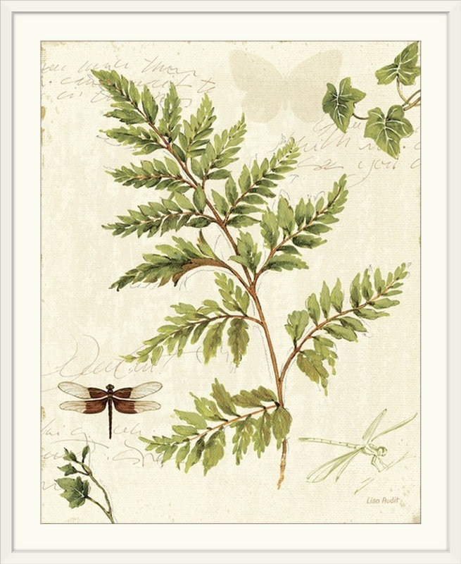 «Ivies and Ferns I» par Lisa Audit, impression, H 23 po x l 20 po x P 1 po, Cadre noir