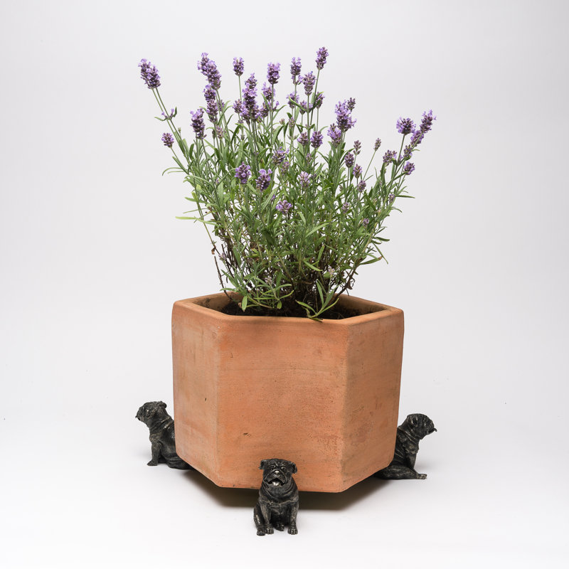 Susanna Weather Resistant Planter Feet