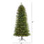 Lighted Artificial Fir Christmas Tree-1519015954
