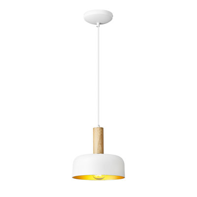 Luminaire suspendu simple à 1 lumière Laytin