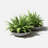 Pure Series Lane Bowl Planter-1281804842-1208986578-1208982255