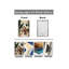 1 Piece Wrapped Canvas Wall Art