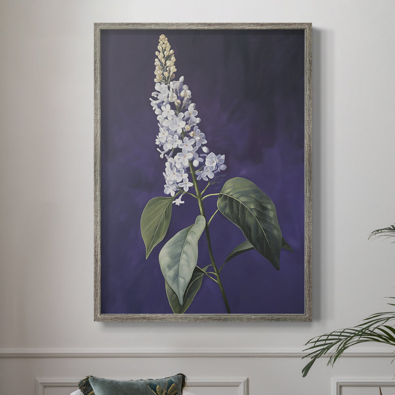 Reproduction encadrée FLORAL Series CCXLI - bois massif, H 30 po x l 24 po