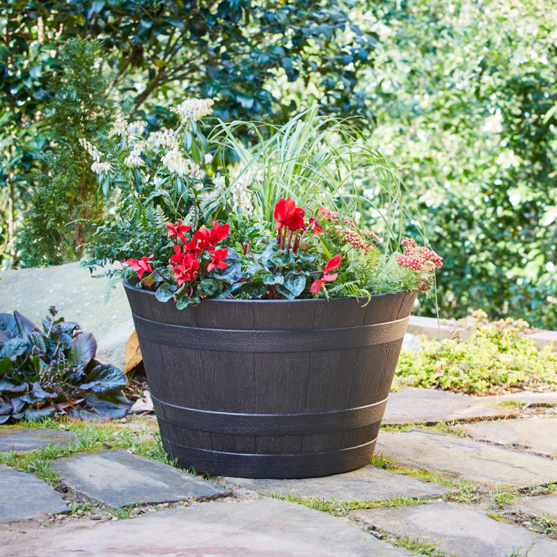 Jibril Barrel Planter, 12.2" H x 20.47" W x 20.47"D, Kentucky Walnut