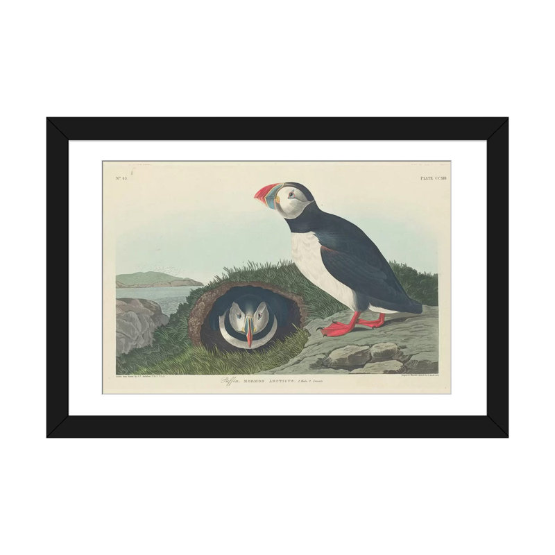«Puffin», impression sur toile, H 16 po x l 24 po x P 1 po, Papier d'art encadré noir, Blanc