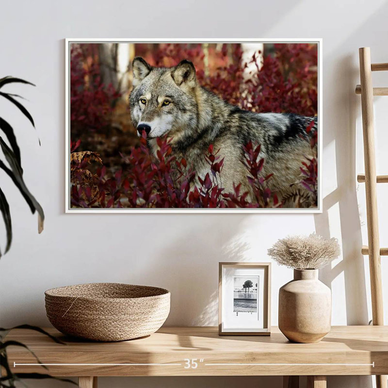 Loup caché, 25 po x 17 po, Cadre flottant blanc