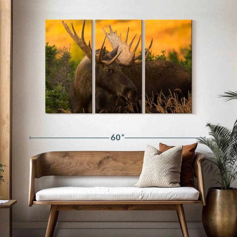 Brampt Chugach Bull Moose, 32" H x 50" W