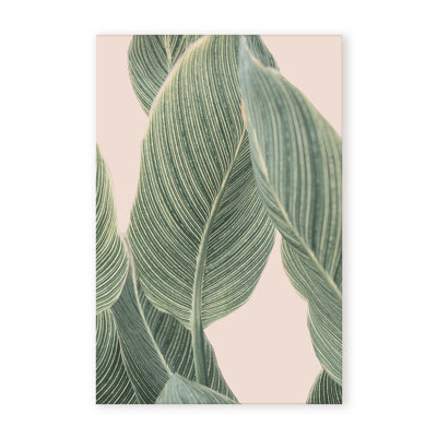 Coastal Retreat Calla Leaf by  - Picture Frame Graphic Art on Paper