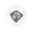 Chene Pendant