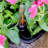 2-Pack Self-Watering Planter - Hand Woven Wicker - Square - Expresso