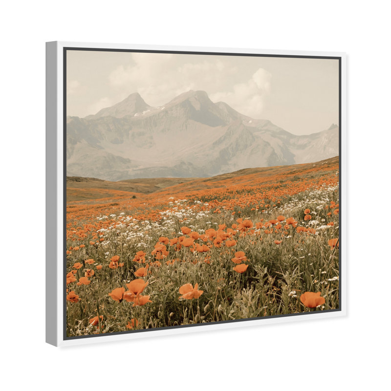 Orange Poppies by Oliver Gal, 31" H x 31" W, White Floater Frame