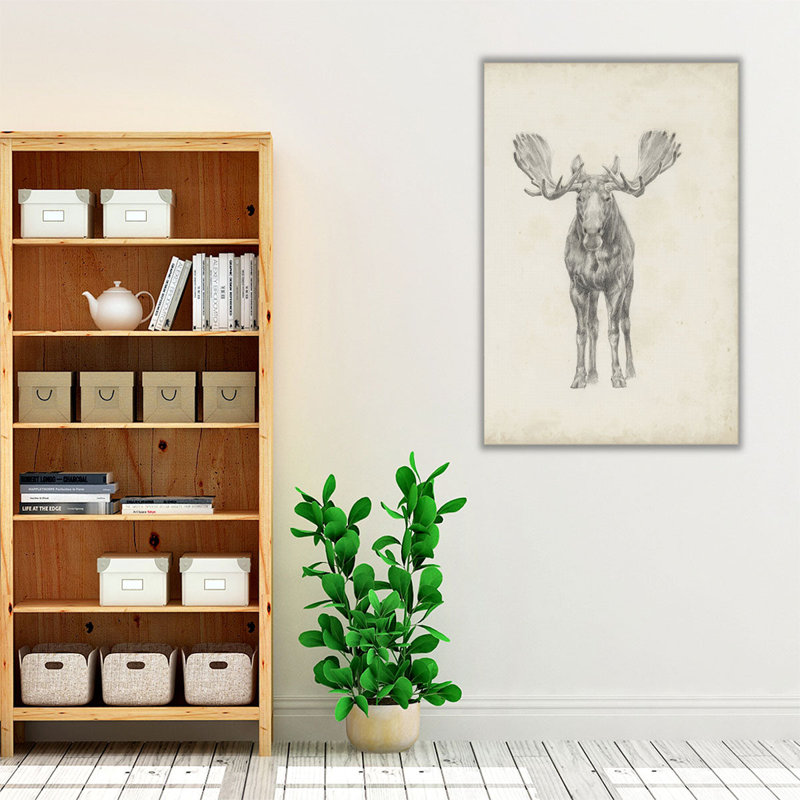 Moose Study - Canvas Print Wall Art, 60" H x 40" W