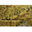 Rectangle 168 cm x 238 cm Ikat Hand Woven Area Rug
