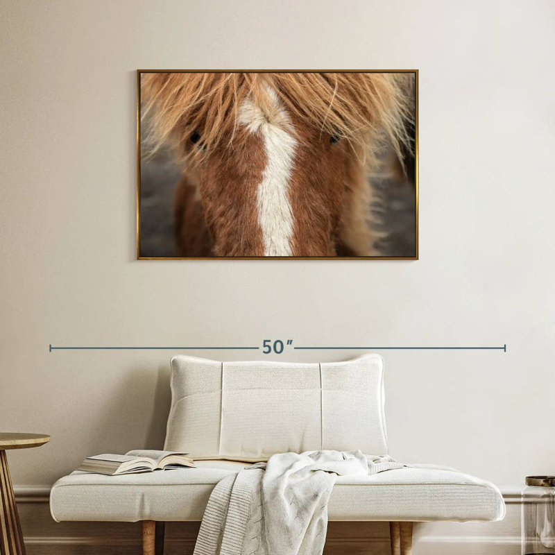 Gros plan d'un cheval Islandais, Cadre flottant doré, 37 po x 25 po