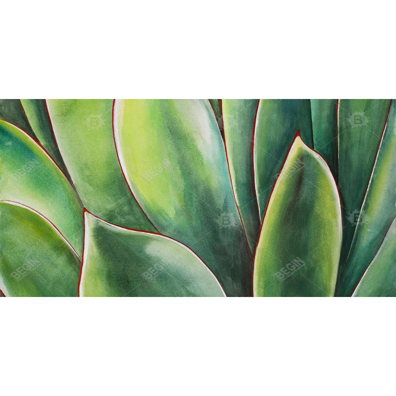Watercolor Agave Plant - Toile florale pour le décor de la chambre à coucher