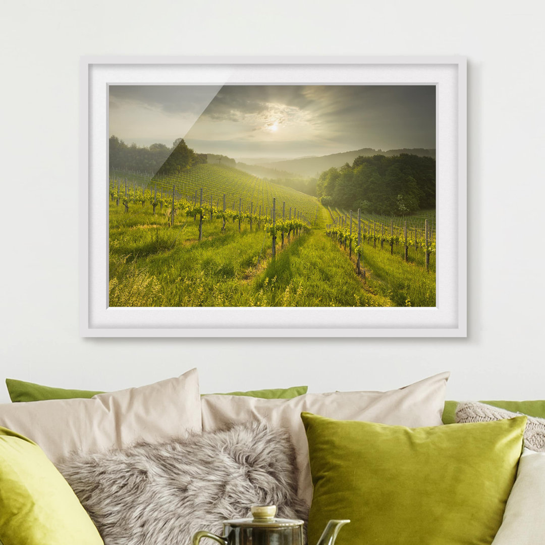 Gerahmtes Poster Vineyard Sunbeams