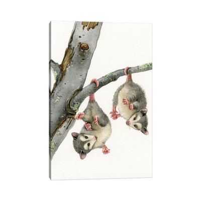 «Playful Possums» par Tracy Lizotte, reproduction d'art sur toile tendue