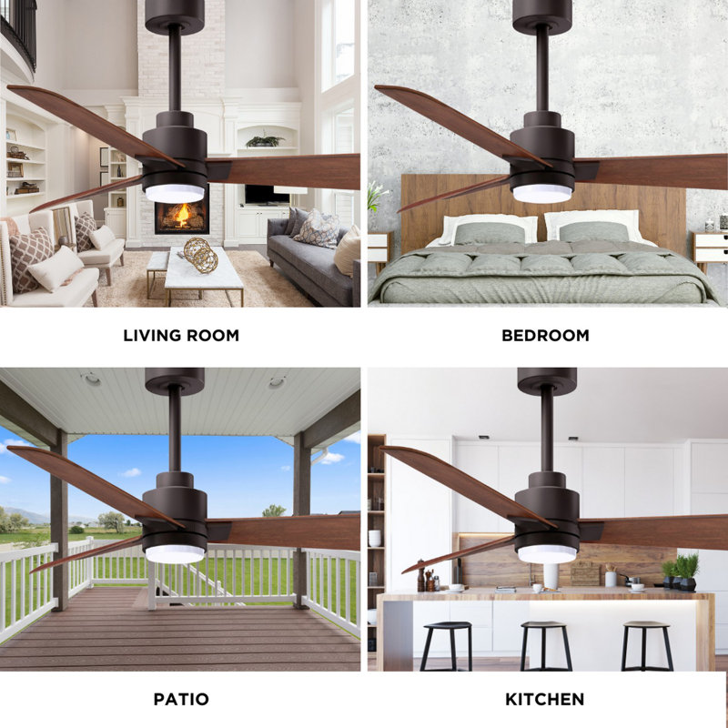 Alessandra - Three Blade Transitional Ceiling Fan -LED, Walnut, Textured Bronze, 56"