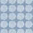 Blue/White