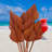 Fredela Arrangement-988735752