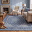 Tapis traditionnel en bouleau, style persan, bleu, gris et crème, lavable à la machine, antidérapant, à poils courts, pour l'intérieur et l'extérieur, adapté aux animaux domestiques, idéal pour le salon, la chambre, la salle à manger, l'entrée, le couloir ou le bureau.-1198294019