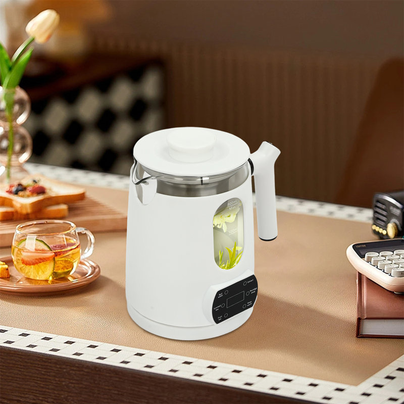 Electric Tea Kettle with Temperature Control, White