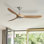 Ventilateur de plafond standard à 3 pales de 60 po avec télécommande Nicola