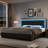 Athanasius Modern LED Platform Bed, PU Upholstered Bed with Storage Drawers, RGB Lighting & Music Sync, Adjustable Headboard, No Box Spring Needed, Easy Assembly-1356800846-1348519639