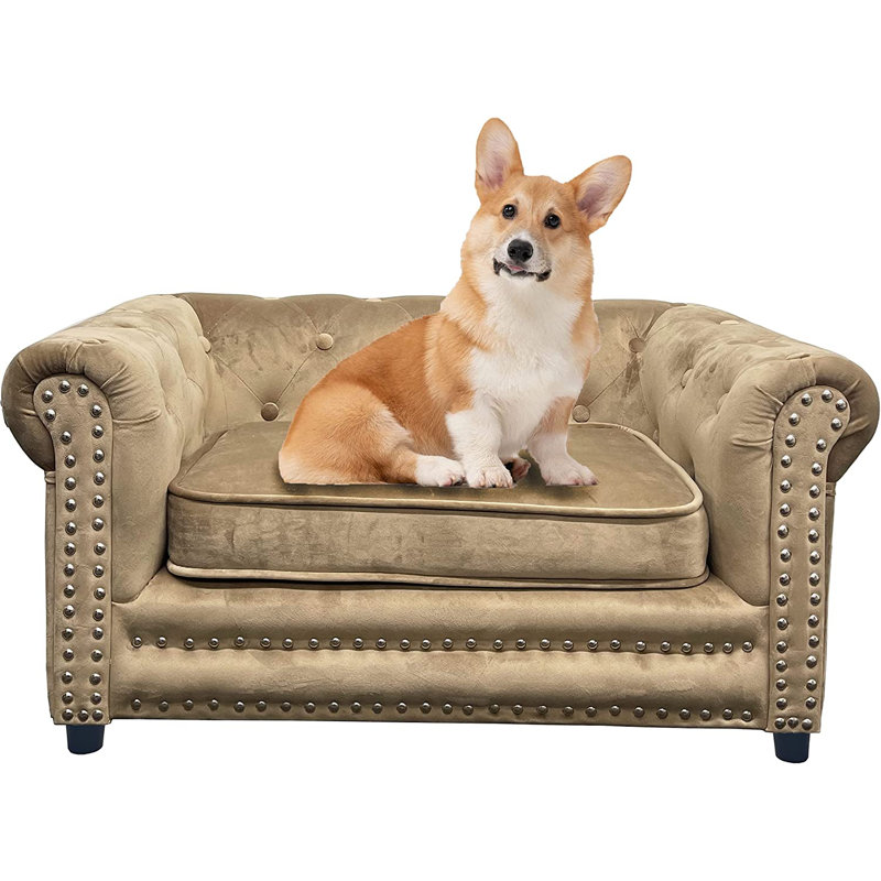 Velvet Pet Bed, Taupe