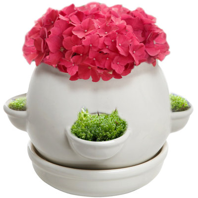 Ceramic Pot Planter