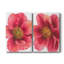 Pivoine arborescente I - Toile tendue avec châssis de qualité supérieure - Prêt à être accroché