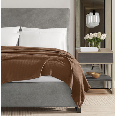 Vince Camuto Classic Cotton Blanket