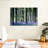 Bluebell Vision-107504012