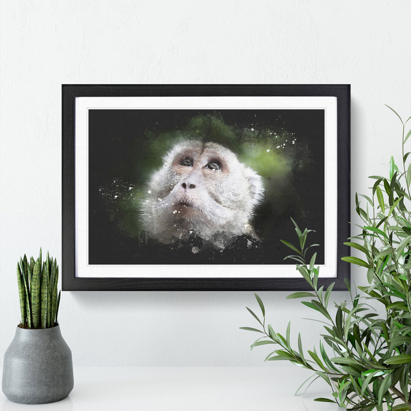 Macaque Monkey - Picture Frame Graphic Art, 36cm H x 48cm W x 2cm D, Black Framed