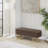 Freea Velvet Upholstered Storage Bench-430889411