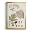Feuilles et baies II sur papier-88435441-88435442