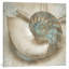 Coastal Gems Iv by John Seba - Print on Canvas-101415973-101415974