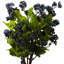 Plastic, Silk Grape Leaf Arrangement