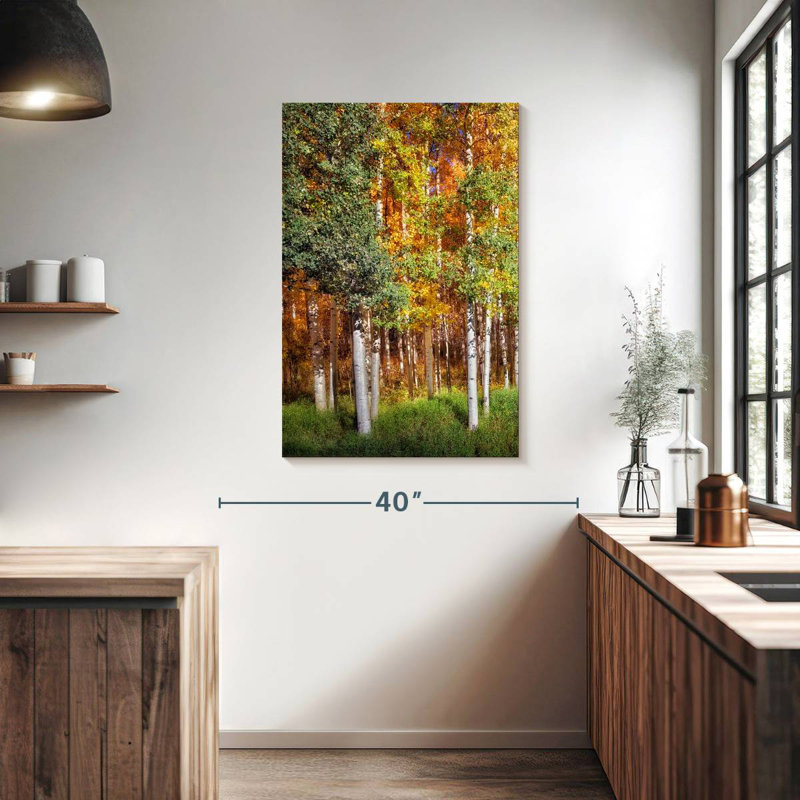 Alvord Aspen Glen I, H 39 po x l 26 po