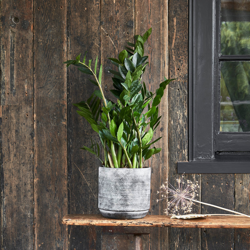 Tivoli Planter Earth H25Cm D26Cm, Earth