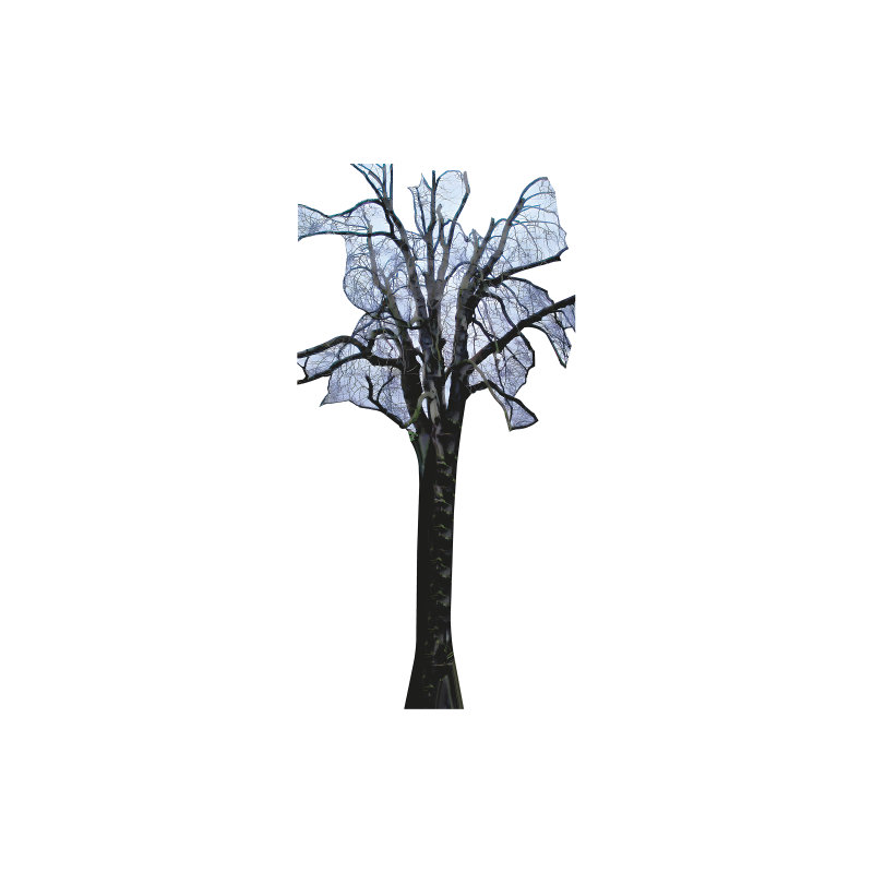 H13677 Arbre debout Anne Frank's