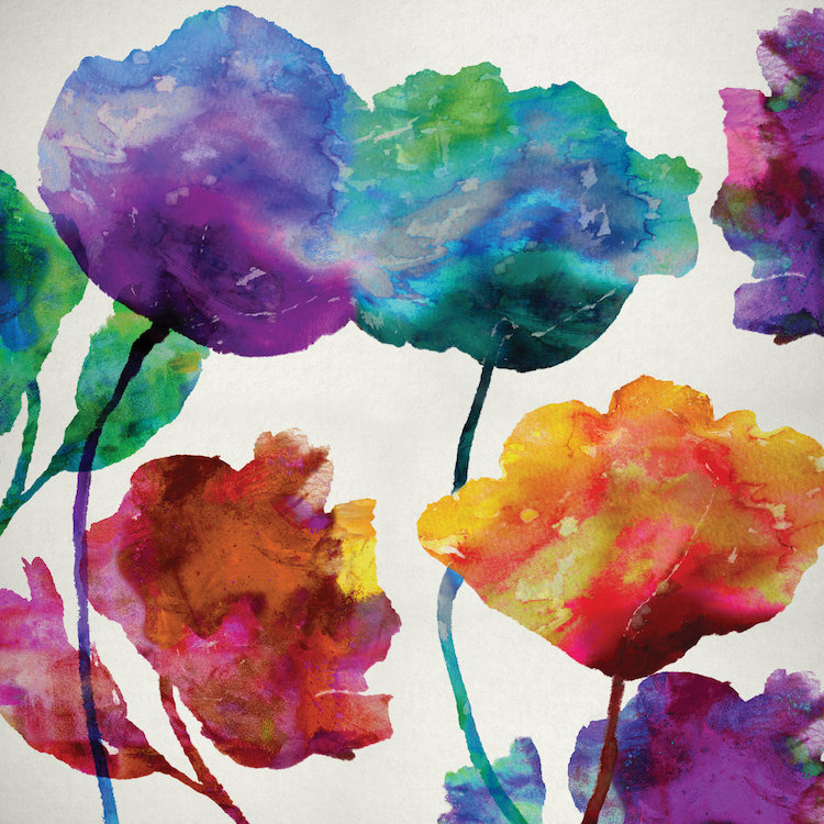 «In Full Bloom I», reproduction d'art sur toile, H 12 po x l 12 po x P 0,75 po