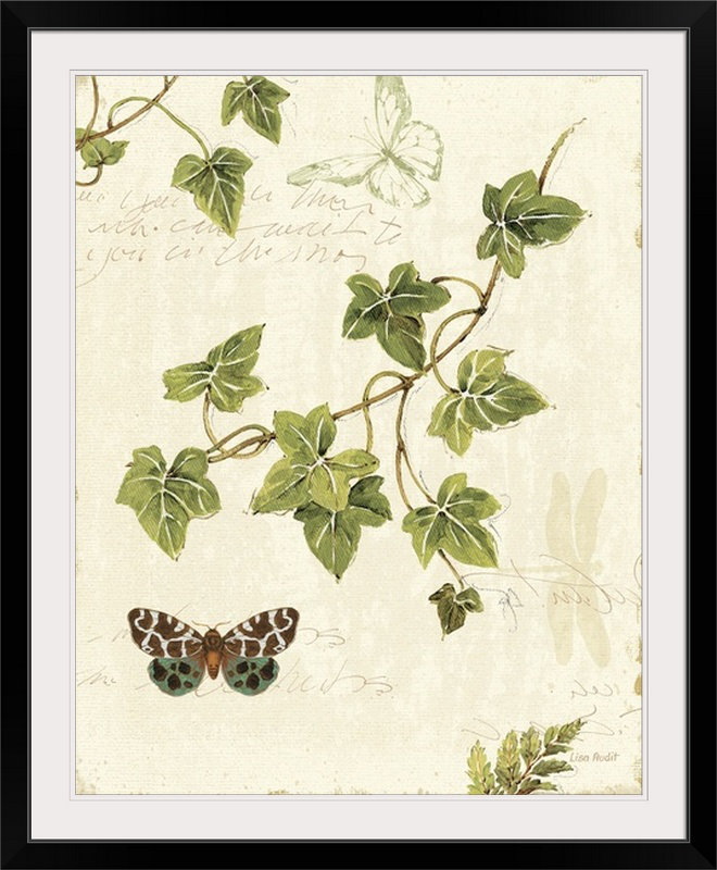 «Ivies and Ferns II» par Lisa Audit, impression, H 28 po x l 24 po x P 1 po, Cadre noir
