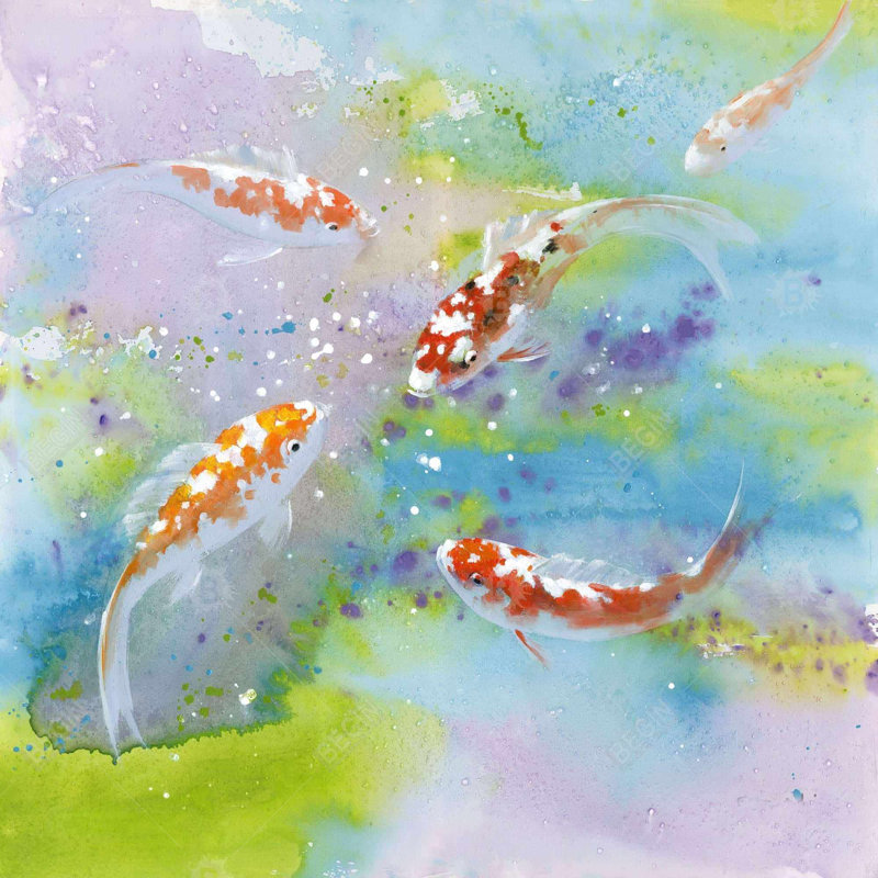 "Quatre poissons koi nageant" sur toile