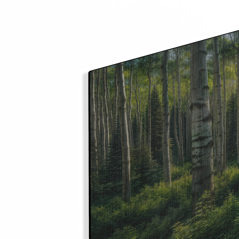 Art mural en métal Millwood Pines «Path In Aspen Forest» par Rey Klimt, H 12 po x l 24 po