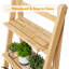 Plant Stand-720344905