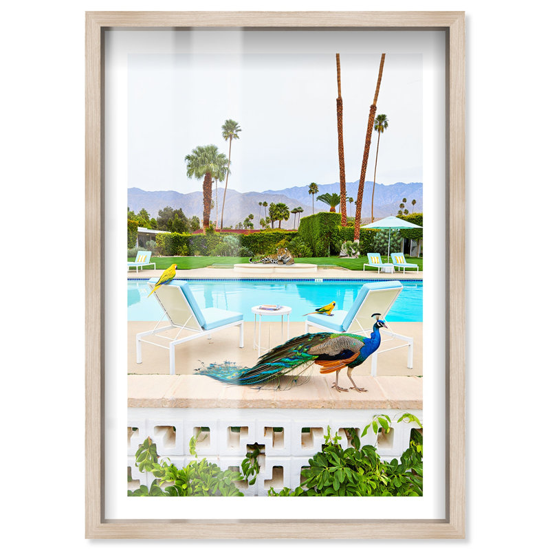Impression de boîte à ombre Peacock's Poolside par Notoriart, Crème, crème, H 16 po x l 11 po