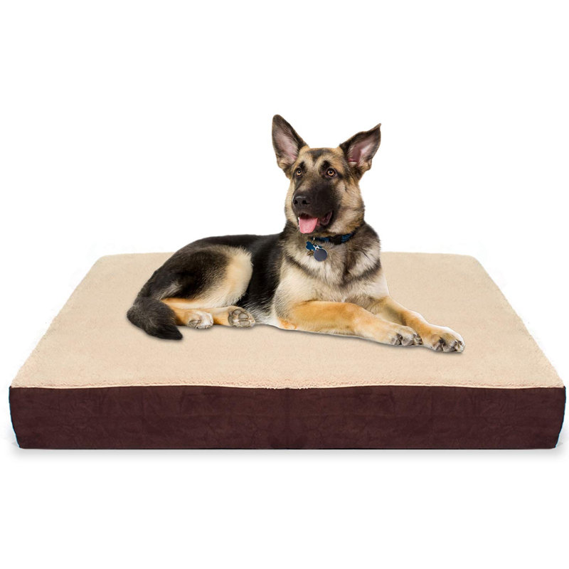 Bomar Orthopedic Pet Bed, Extra Large (37.5" W x 50" D x 4.5" H)