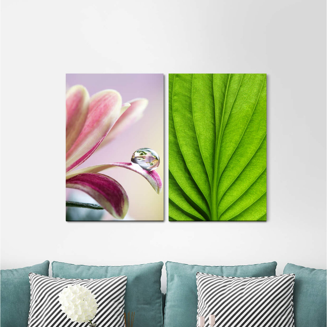 2-tlg. Leinwandbilder-Set - Fotografie „Green Leaf Structure Flower Water Pearl Refreshing”