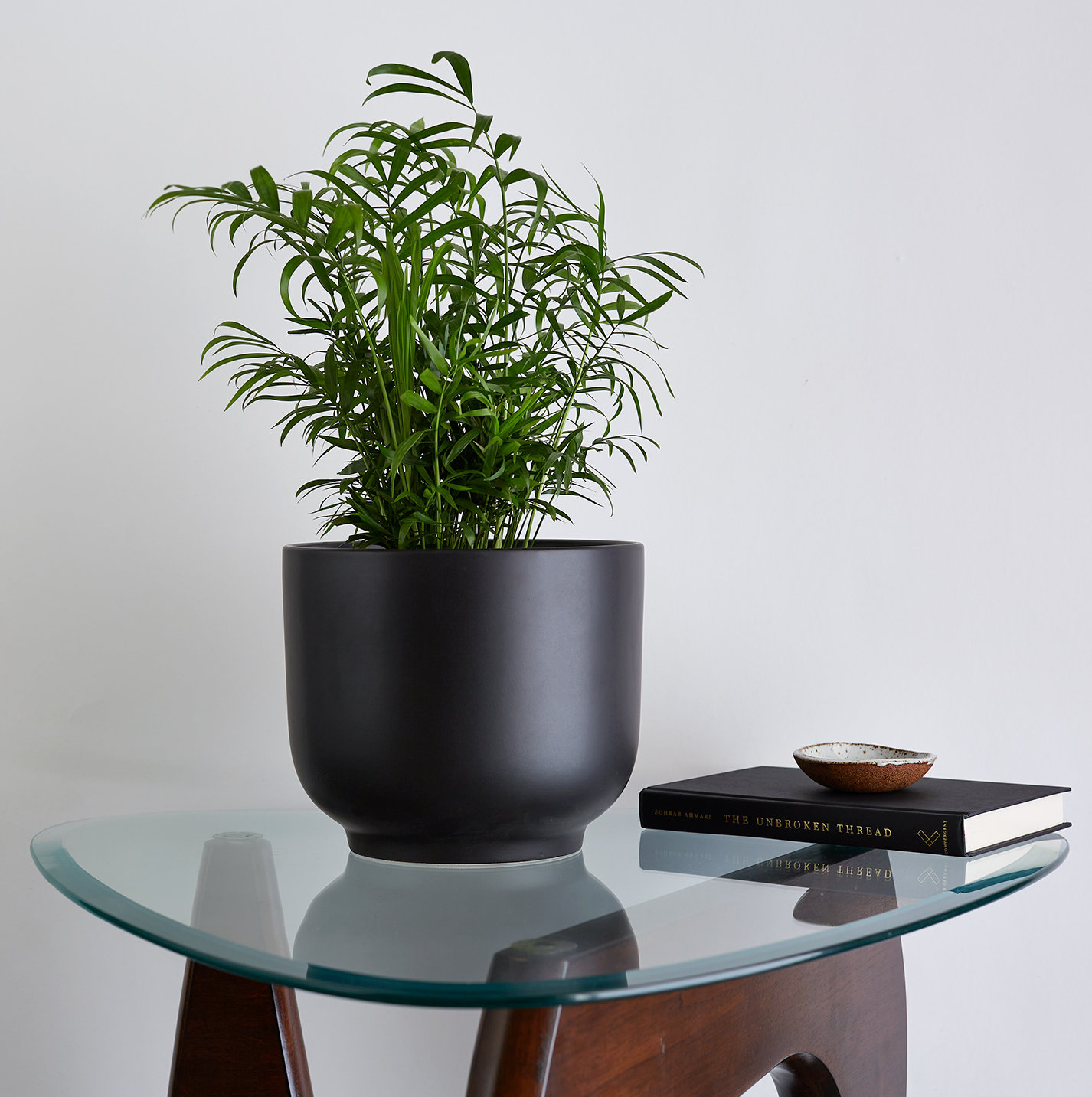 Handmade Ceramic Pot Planter, Black, 7.75" H x 9" W x 9" D